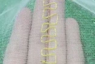 網(wǎng)紗衣物破損怎么辦？專(zhuān)業(yè)修補(bǔ)技巧與選購(gòu)指南