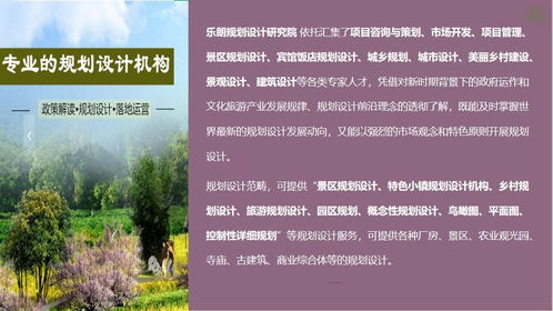 山南地區(qū)旅游開發(fā)項(xiàng)目策劃咨詢專項(xiàng)資金管理實(shí)施細(xì)則